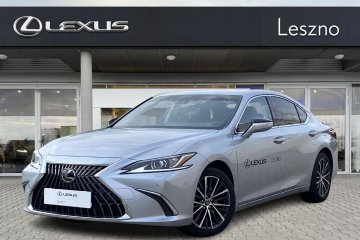 300h Business Edition | VAT 23% | Salon PL | 1 właściciel | ASO