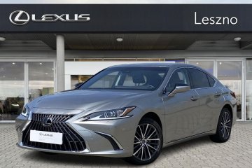 300h Business Edition | Salon PL | VAT23% | ASO | 1szy właściciel