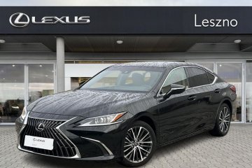 300h Business Edition