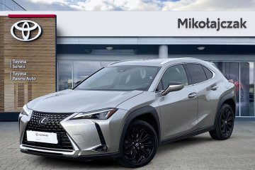 UX 250h BUSINESS_FWD I Salon PL I Serwisowany